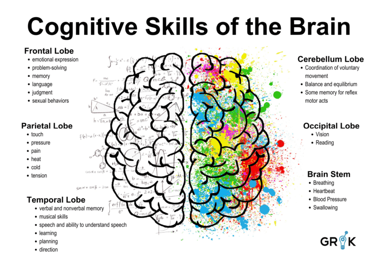 Cognitive-skills-of-the-brain